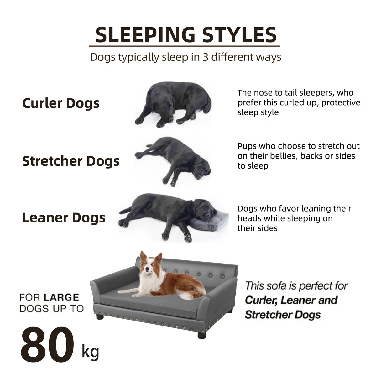 BINGOPAW Elevated Dog Sofa With Removable Microfiber Cover