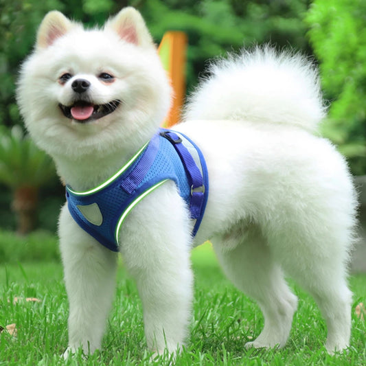 Reflective Adjustable Mesh Dog Harness Vest With Safety Leash
