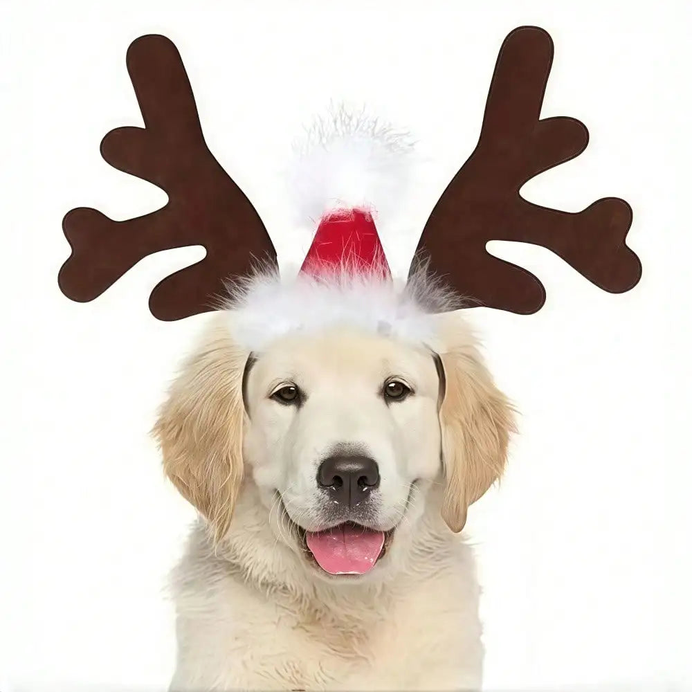 Ghost Halloween Pet Cape Reindeer Antlers Headband Costume Set