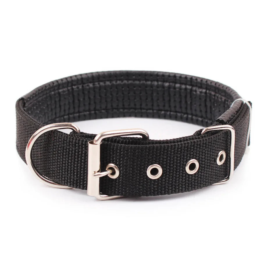 Solid Nylon Dog Collar For Comfortable Everyday Wear