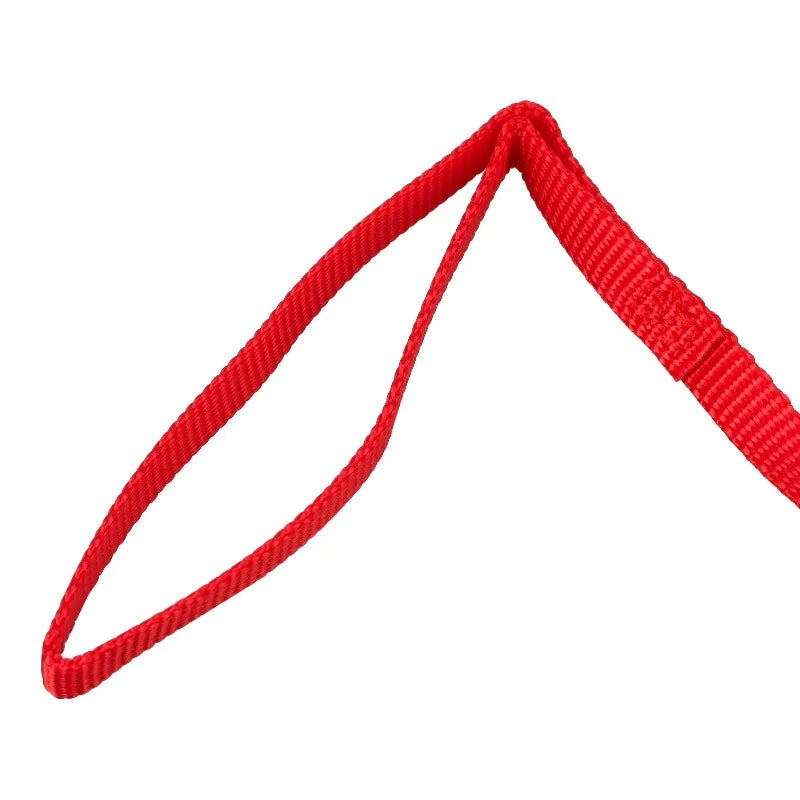 Durable Adjustable Nylon Dog Leash With Heavy Duty Snap