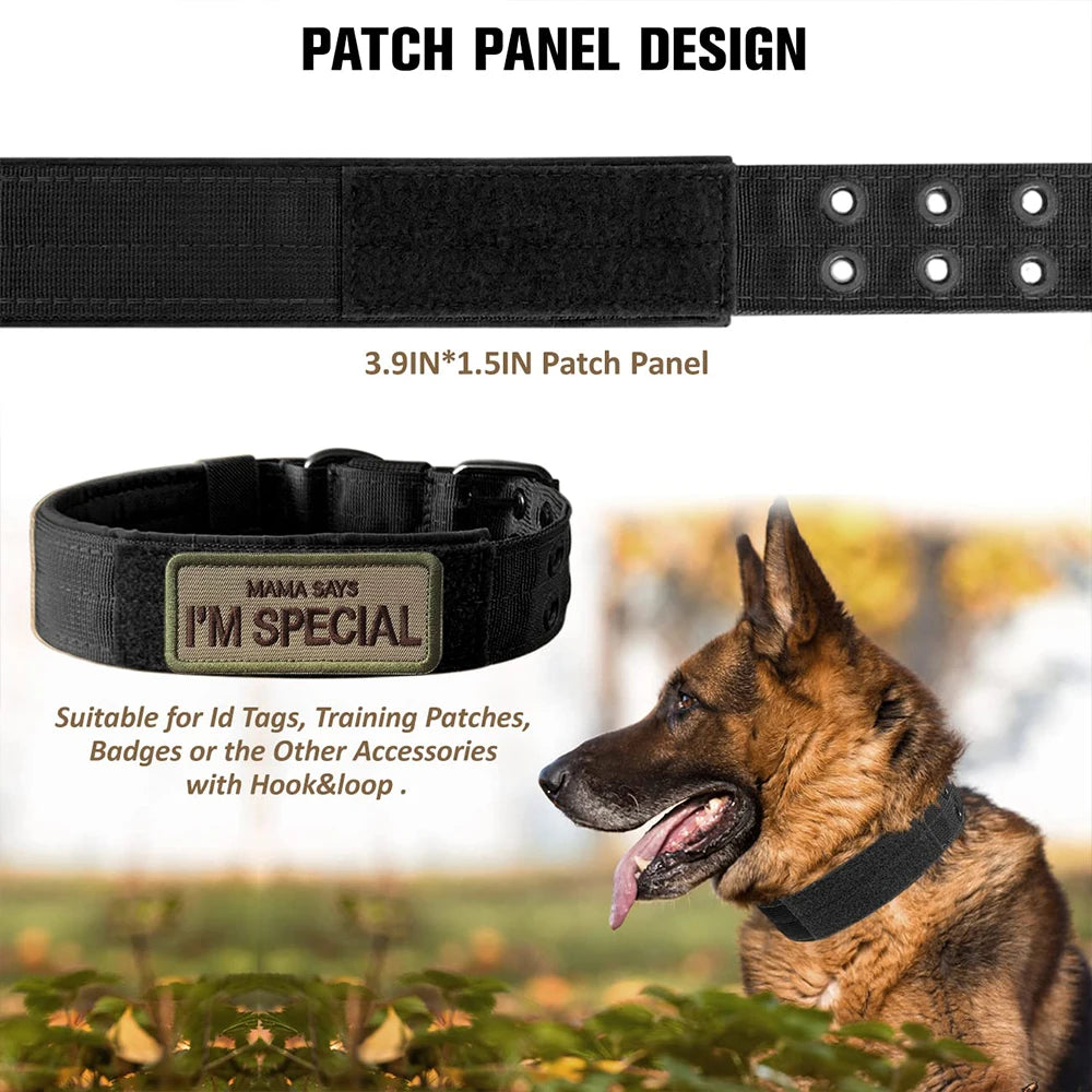 Durable Nylon Tactical Dog Collar for Training and Outdoor Use