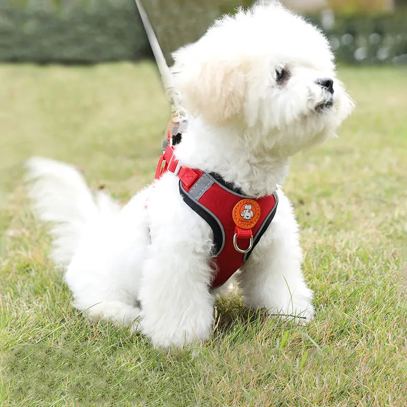 Adjustable No Pull Dog Harness With Matching Walking Leash Set