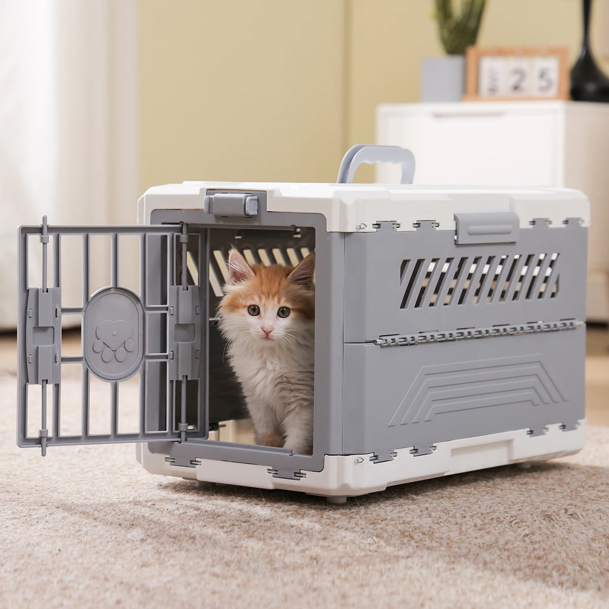 PAWZ Road Foldable Pet Carrier With Secure Lock Door For Travel