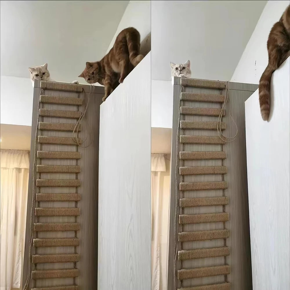 CWV Wooden Cat Bridge Featuring Sisal Rope Ladder Design