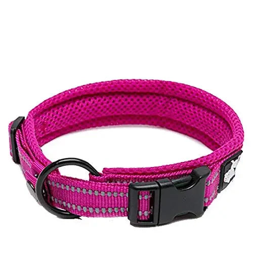 Truelove Reflective Padded Adjustable Nylon Dog Collar