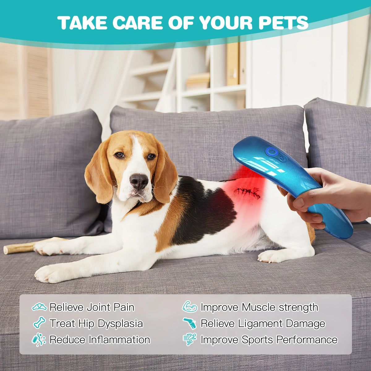 Portable Pet Cold Laser Therapy Device For Joint Pain Relief