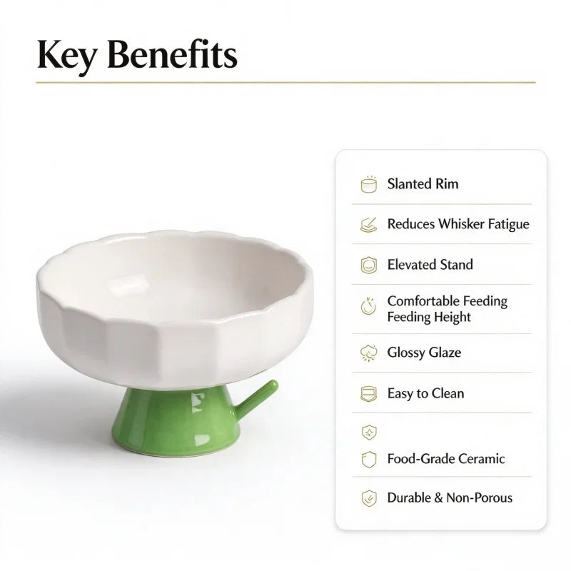 Elevated Ceramic Cat Bowl With Slanted Rim And Glossy Finish