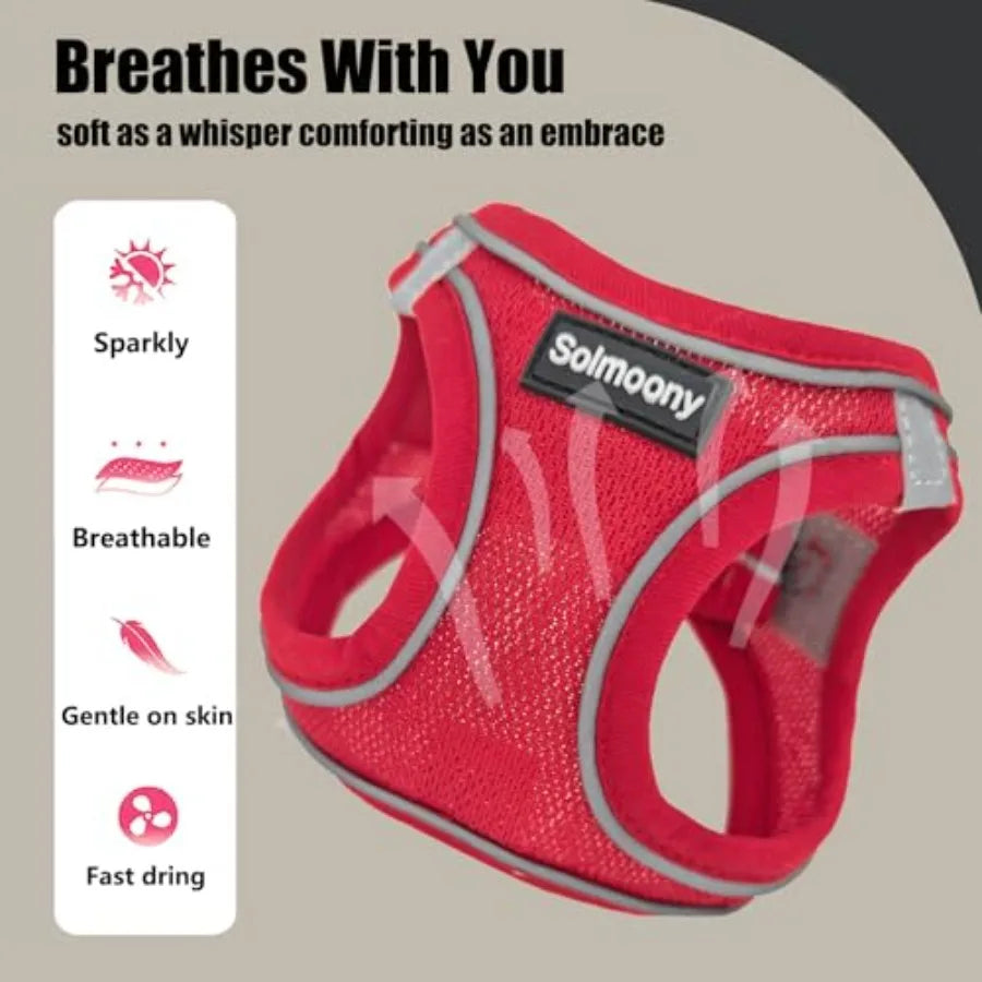 Reflective Breathable Puppy Dog Harness And Leash Set