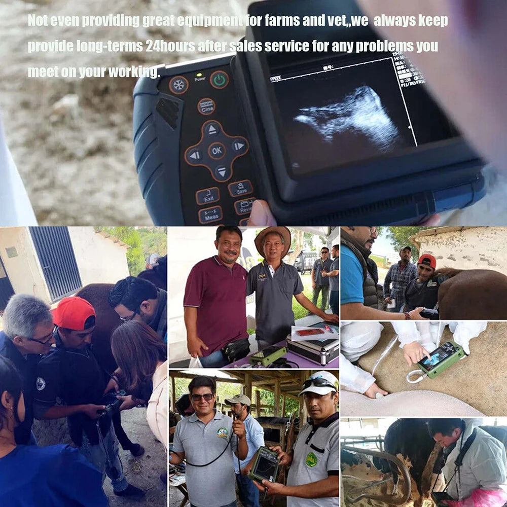 DAWEI Portable Veterinary Ultrasound Scanner for Animal Pregnancy Testing