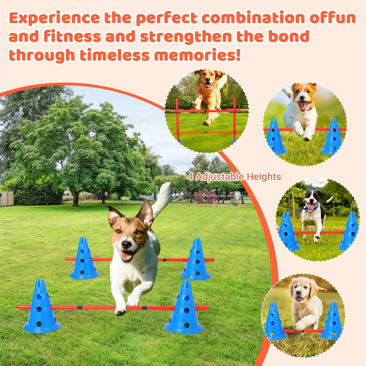 Adjustable Dog Agility Training Cone And Hurdle Set