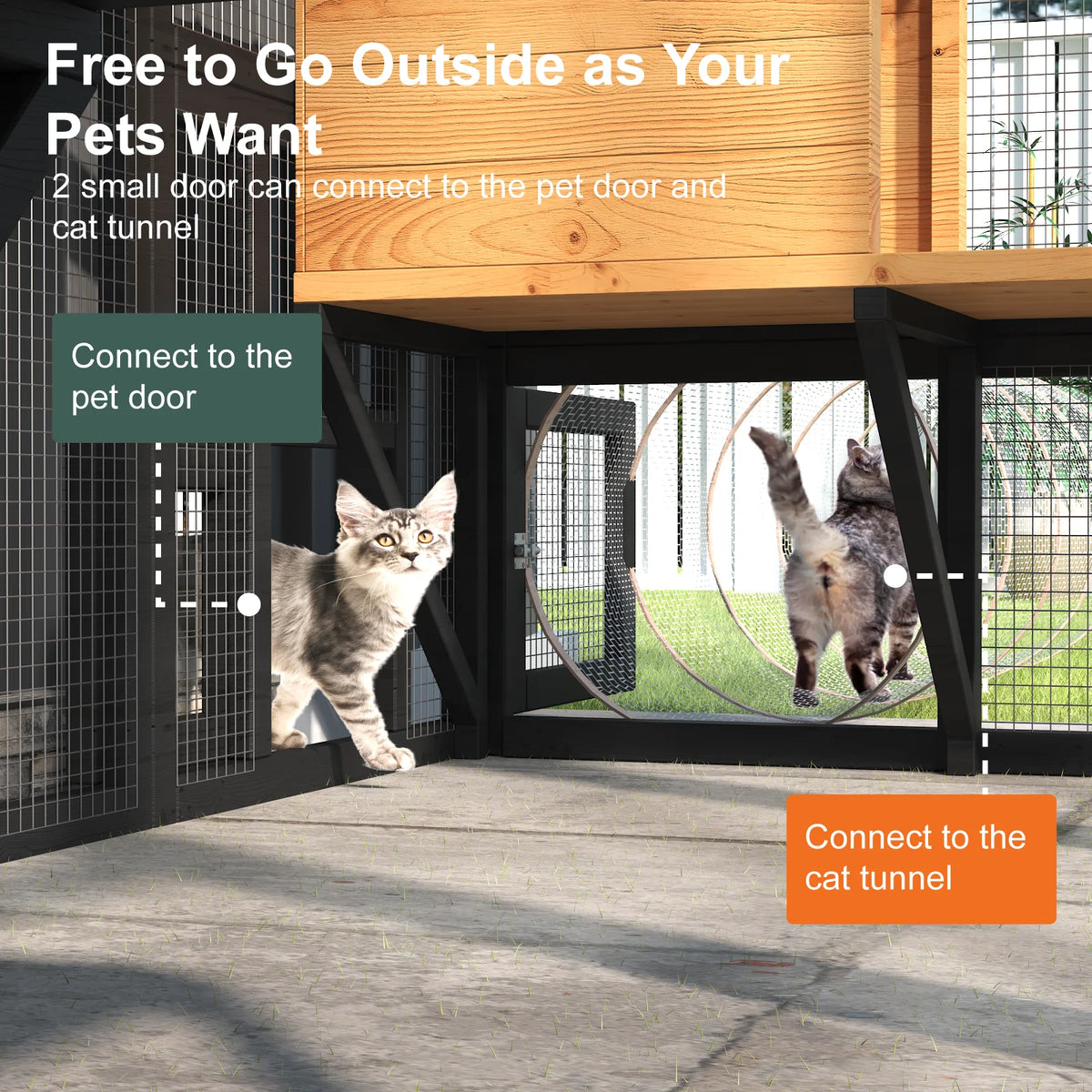 Waterproof Outdoor Cat Catio Walk In Platforms And Boxes