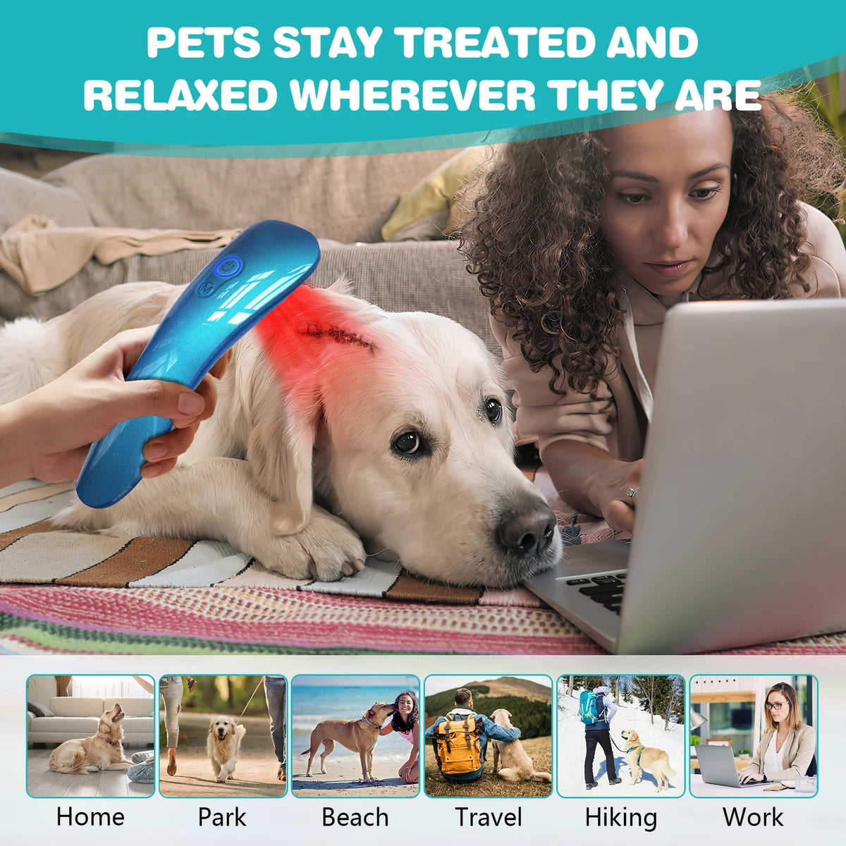 Portable Pet Cold Laser Therapy Device For Joint Pain Relief