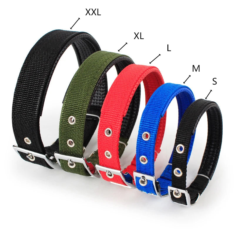 Solid Nylon Dog Collar For Comfortable Everyday Wear