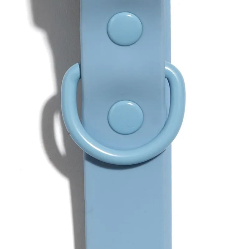 Comfortable Water And Dirt Resistant Fashion Dog Collar