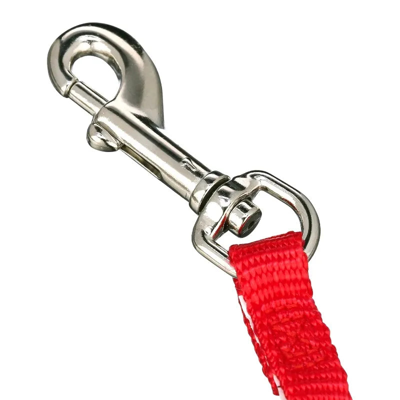 Adjustable Nylon Dog Leash with Snap for Everyday Walking