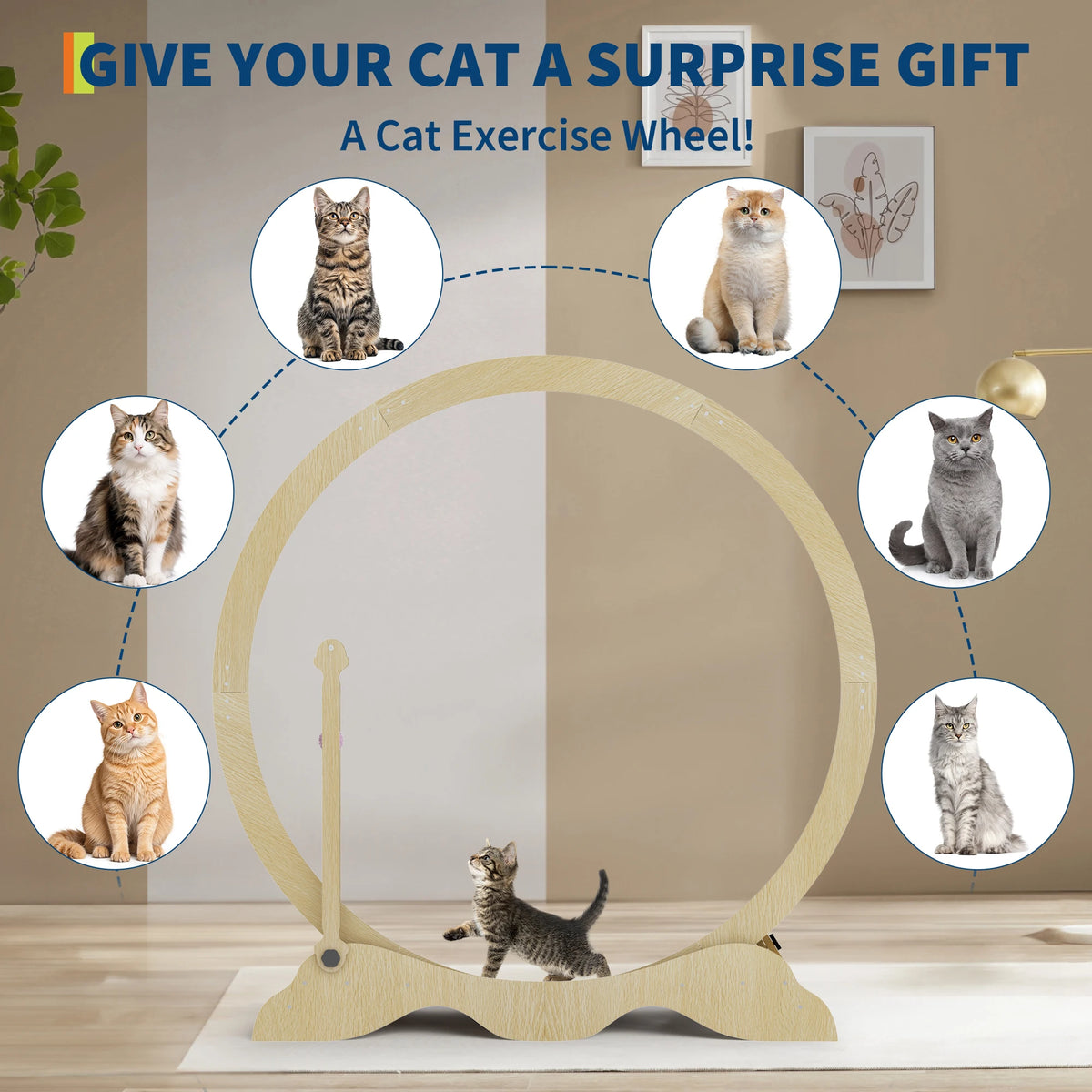 Wooden Cat Exercise Wheel Quiet Floor Mount With Carpet Treadmill