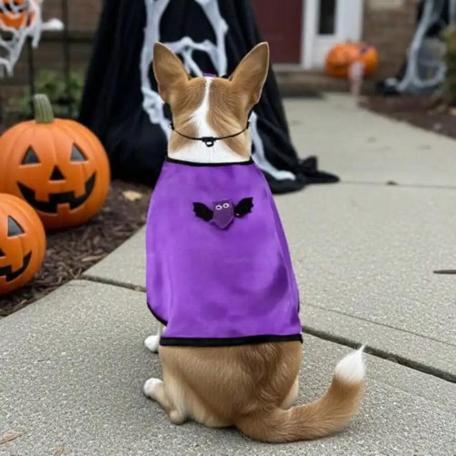 Pet Vampire Cape Halloween Bat Costume For Dogs And Cats