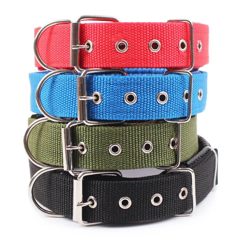 Solid Nylon Dog Collar For Comfortable Everyday Wear