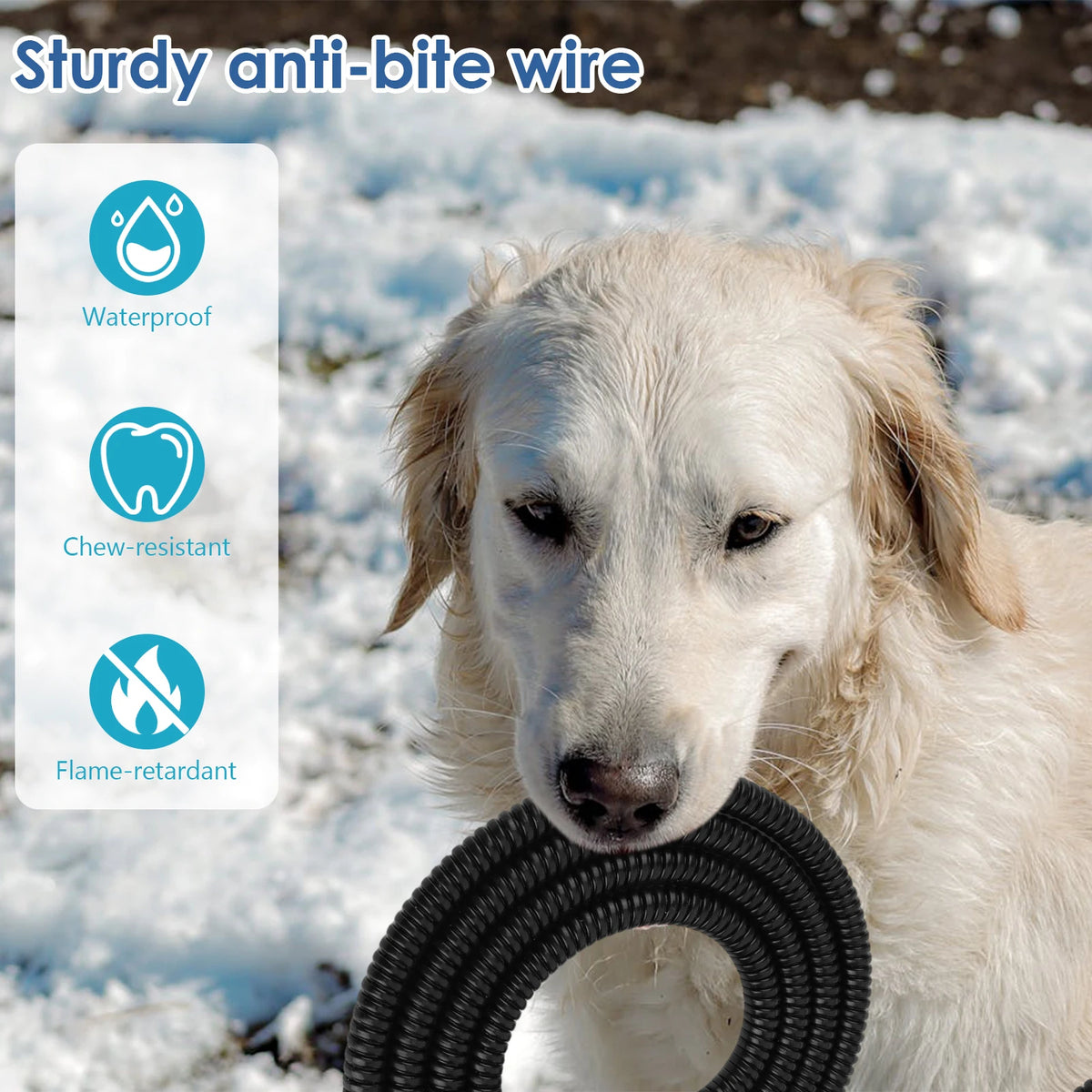 Atoutin Freeze Resistant Heated Electric Pet Water Bowl