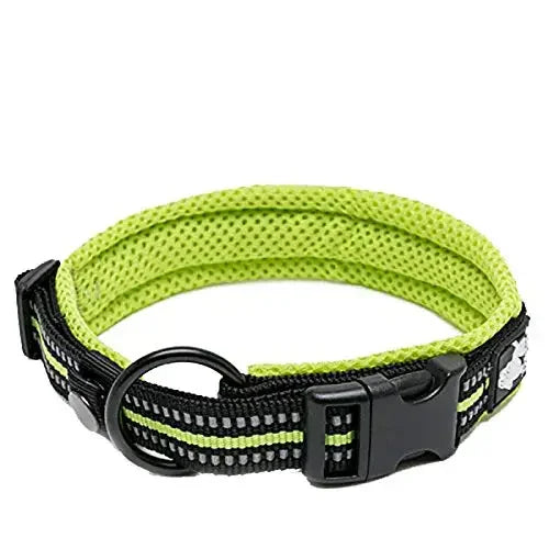 Truelove Reflective Padded Adjustable Nylon Dog Collar