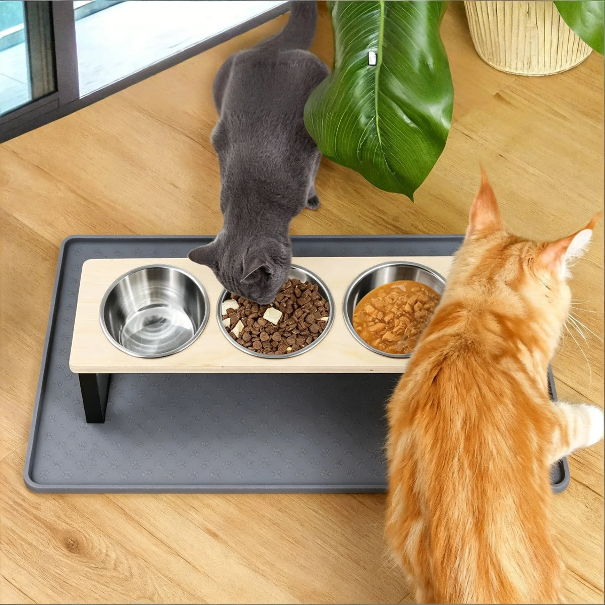 Elevated Stainless Steel Three Bowl Pet Feeder With Bamboo Base
