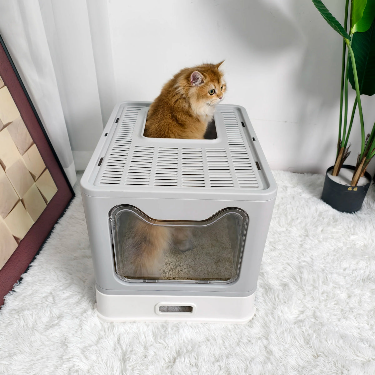 Enclosed Cat Litter Box Front Entry Top Exit Includes Scoop