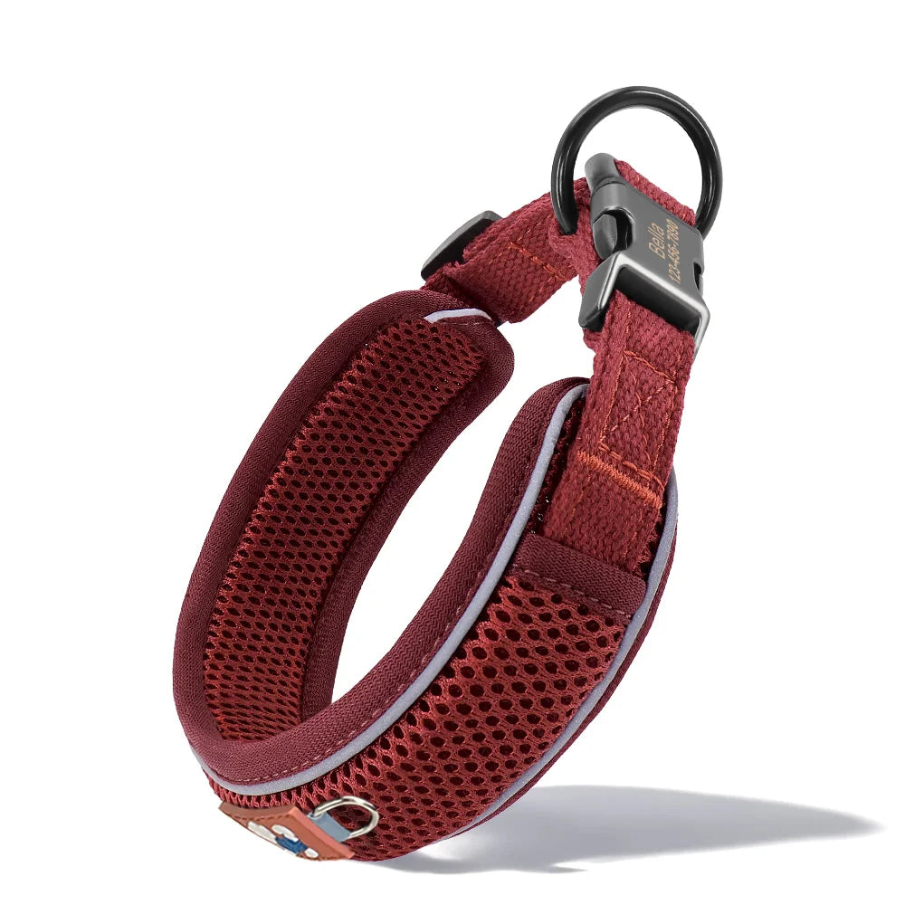 Personalized Breathable Mesh Dog Collar Reflective Free Engraving
