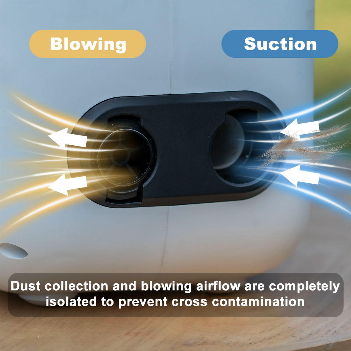 Professional Five In One Pet Grooming Vacuum Dryer Kit