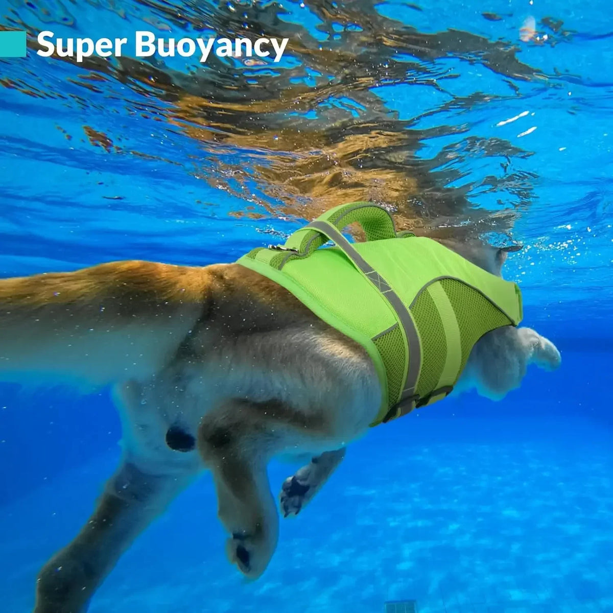 Durable Mesh Dog Life Jacket With Ergonomic Rescue Handle