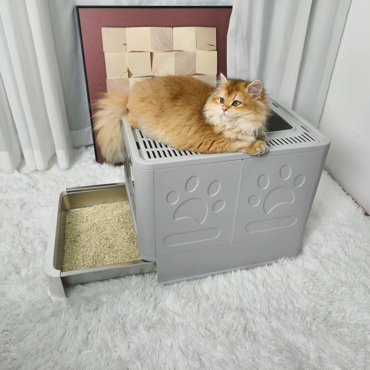 Enclosed Cat Litter Box Front Entry Top Exit Includes Scoop