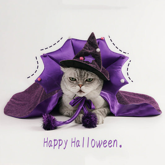Premium Pet Witch Costume With Cloak And Hat For Cats